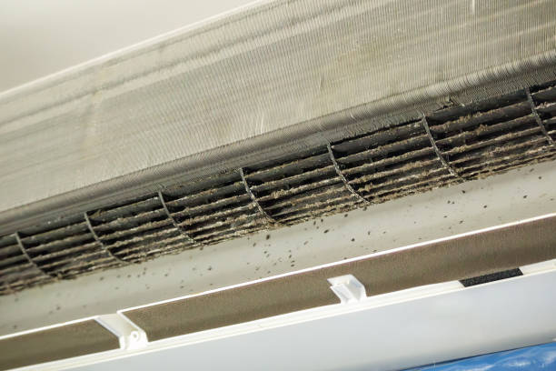 Best Commercial Air Duct Cleaning  in USA